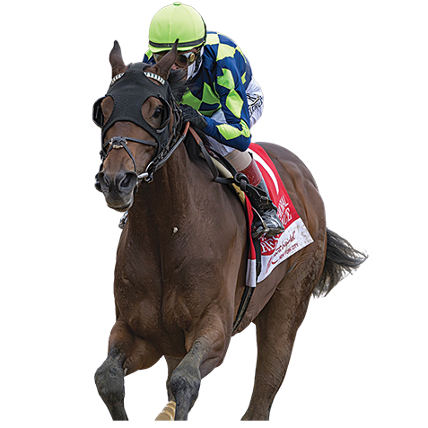 Kentucky Derby luxury hotels and packages